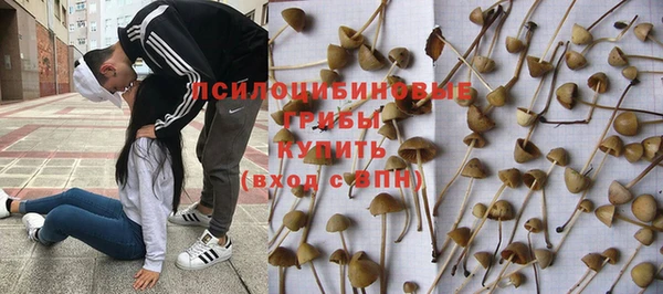 mdma Козельск