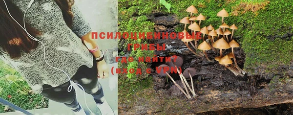ГАЛЛЮЦИНОГЕННЫЕ ГРИБЫ Киренск