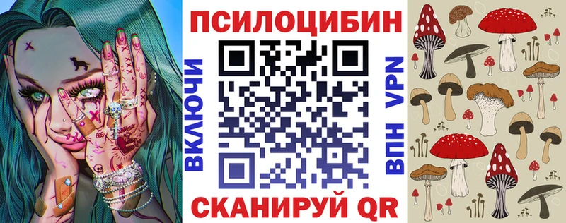 Купить закладки  Вилюйск  Псилоцибиновые грибы MAGIC MUSHROOMS 